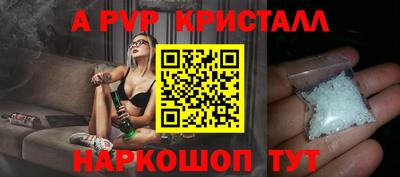 мет Кингисепп
