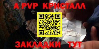 мет Кингисепп