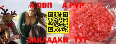 мет Кингисепп