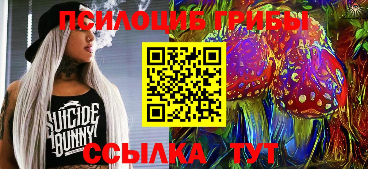 Галлюциногенные грибы Psilocybe Омск