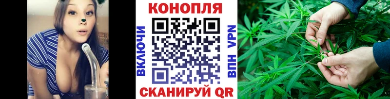 Каннабис сатива  Омск 