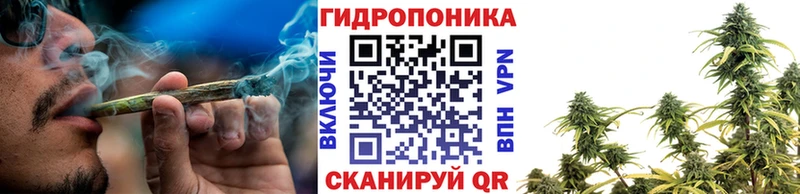 Каннабис конопля Омск