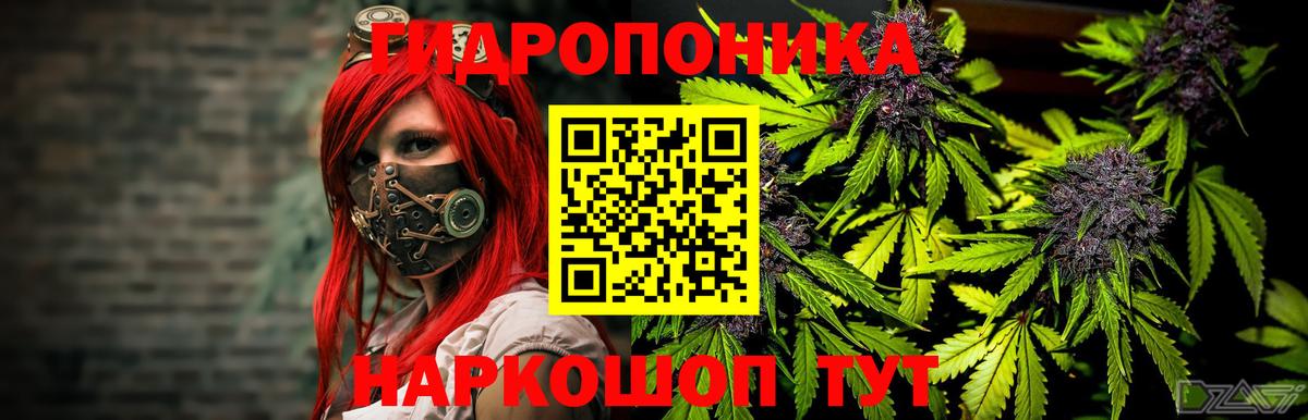 Каннабис VHQ Омск